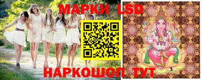 шишки Лесосибирск