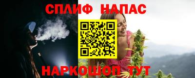 шишки Лесосибирск