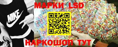 шишки Лесосибирск