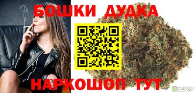 шишки Лесосибирск