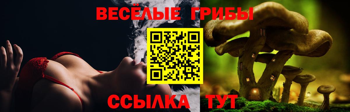Псилоцибиновые грибы Psilocybine cubensis Дмитров