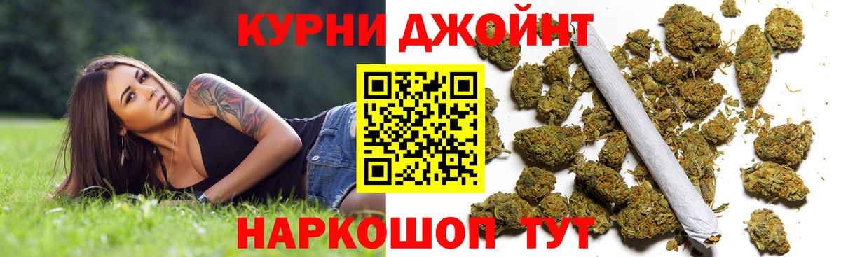 Конопля гибрид Дмитров